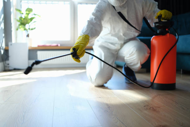 Reliable Biohazard Cleanup contractor in Wishon, CA by Trauma Clean Pros